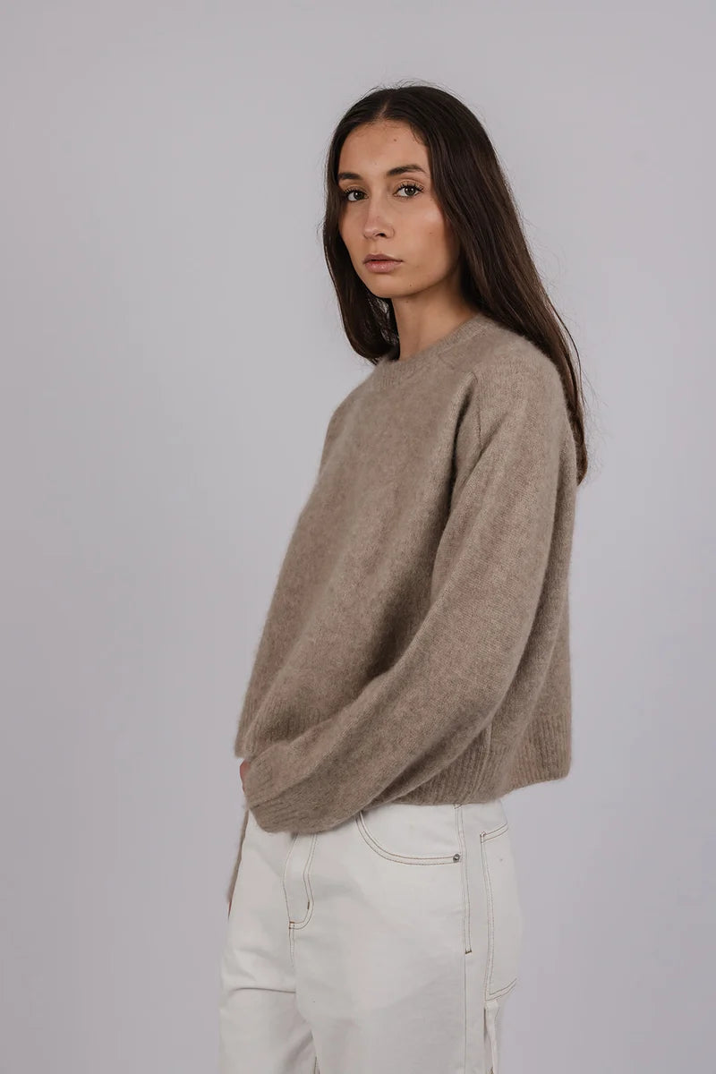 Colin Knit | Fawn