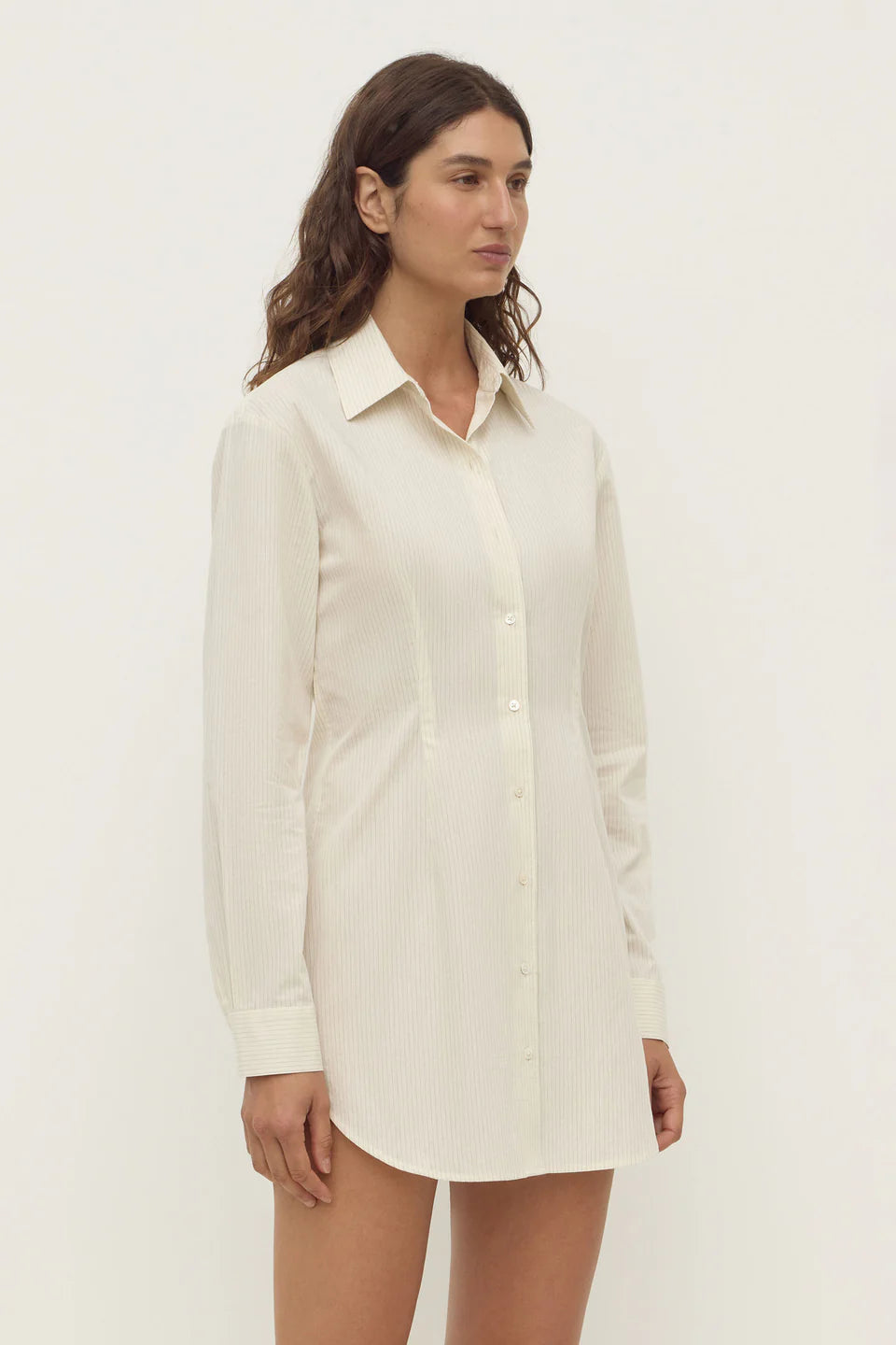 Marina Stripe Fitted Shirt Dress | White/Grey Stripe