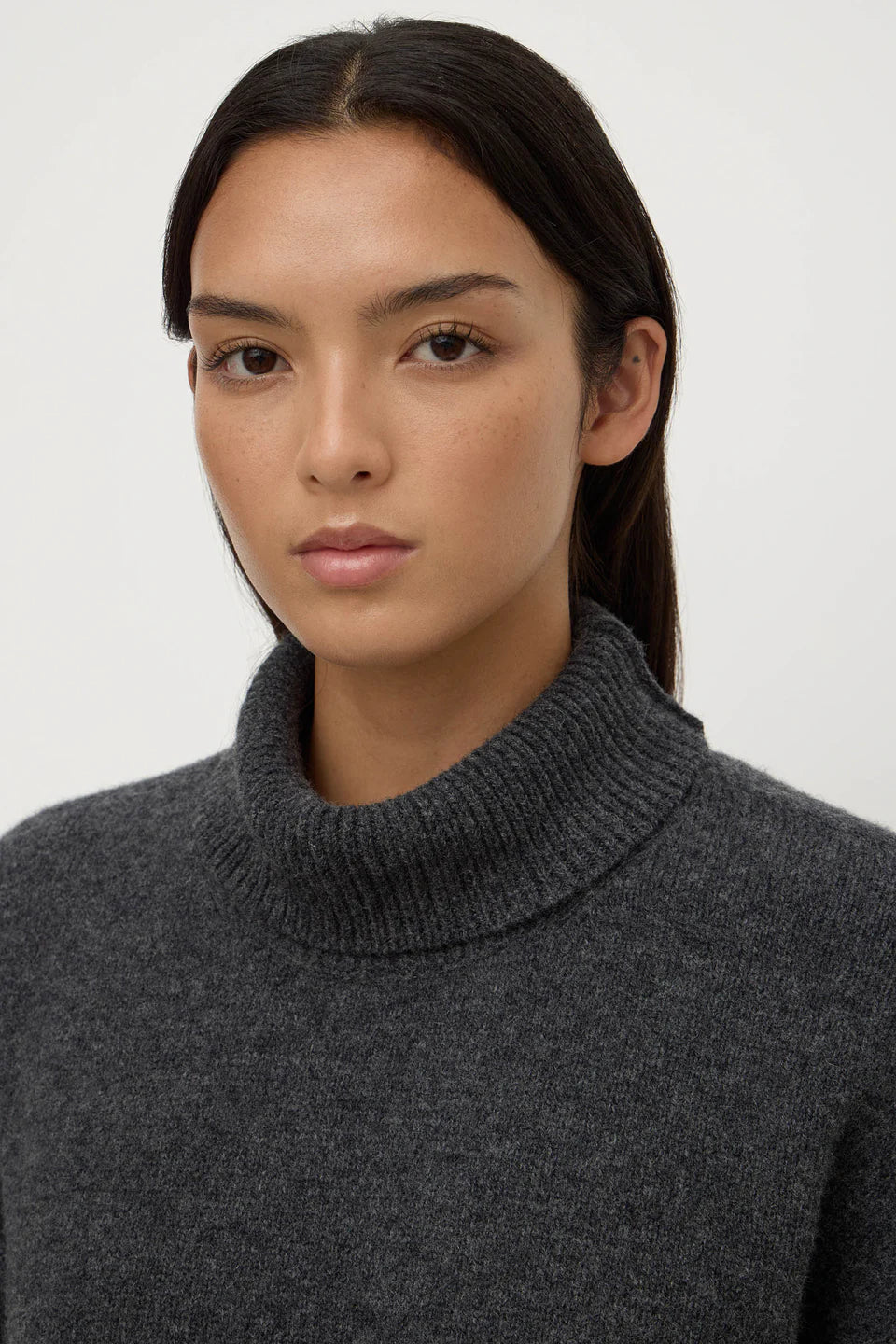 Paris Wool Cashmere Knit Turtleneck | Charcoal Marle