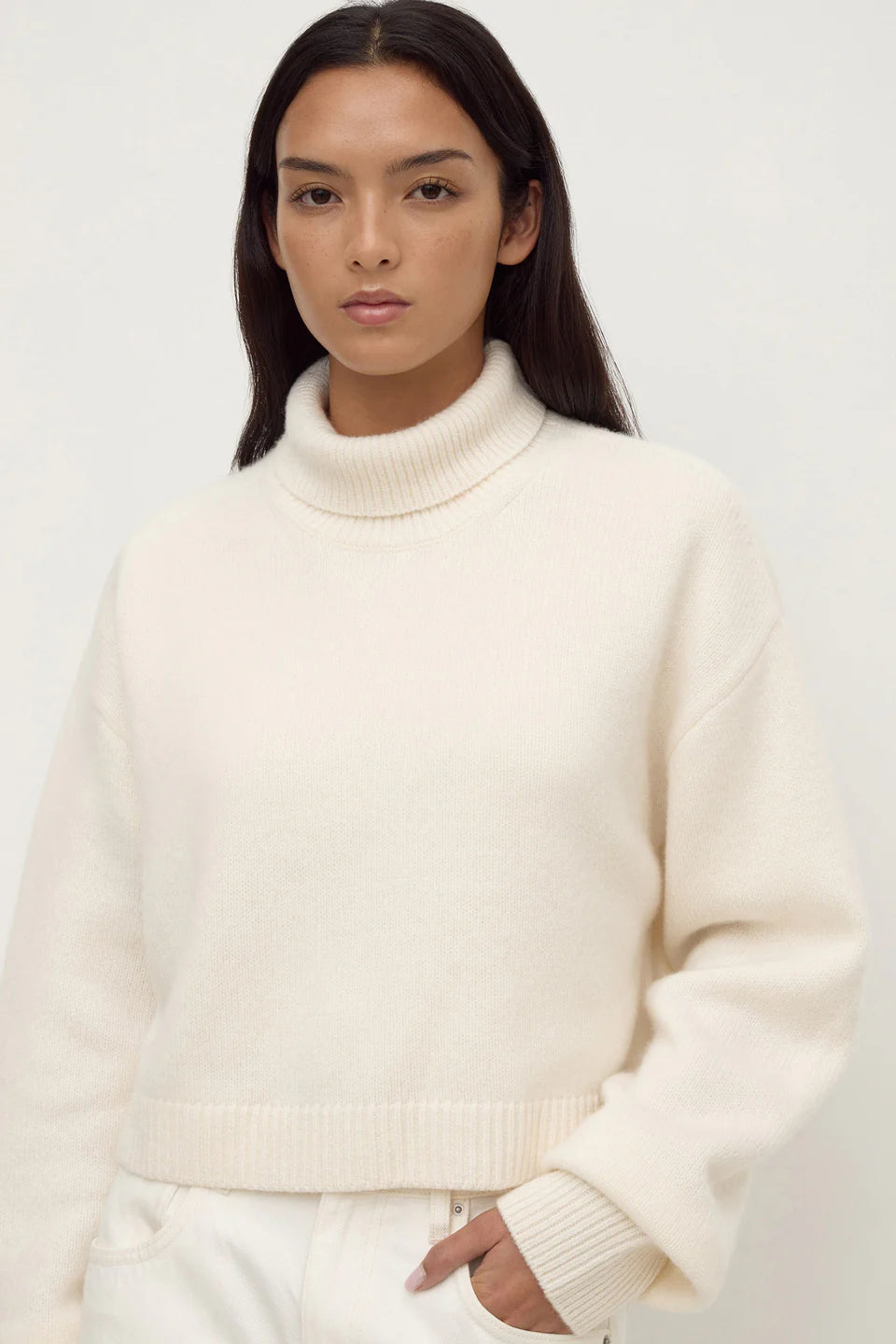 Paris Wool Cashmere Knit Turtleneck | White